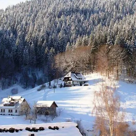 Lovely In Valley With Garden Bad Rippoldsau-Schapbach